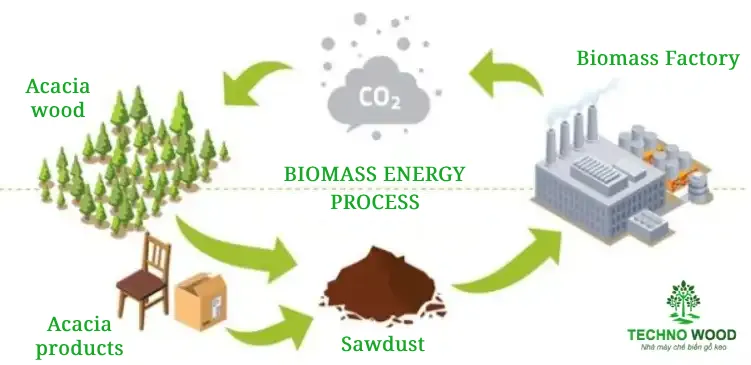 Full biomass energy process of Acacia wood