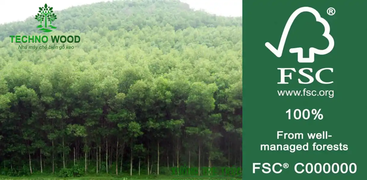 Image of Techno Wood's FSC Certificate - sustainable forest management