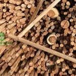 Image 1 - Acacia Round Logs (Peeled - Debarked)