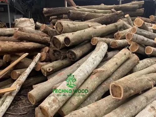Acacia Round Logs (Not Peeled – Not Debarked) – Image 2 Image 2 - Acacia Round Logs (Not Peeled - Not Debarked)