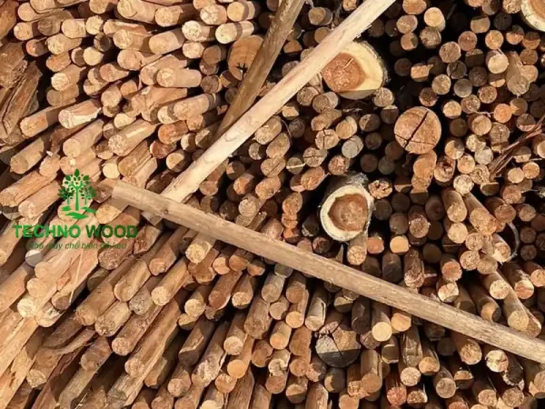 Acacia Round Logs (Peeled – Debarked) – Image 1 Image 1 - Acacia Round Logs (Peeled - Debarked)