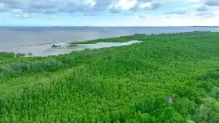 Wood operating innovative pilot carbon capture plant in Wyoming
